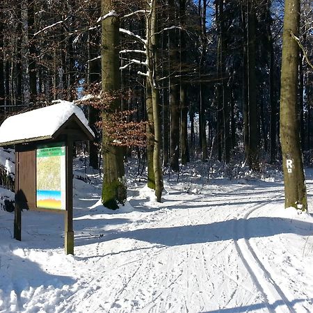 Gaestehaus Regina Ruhla Bagian luar foto