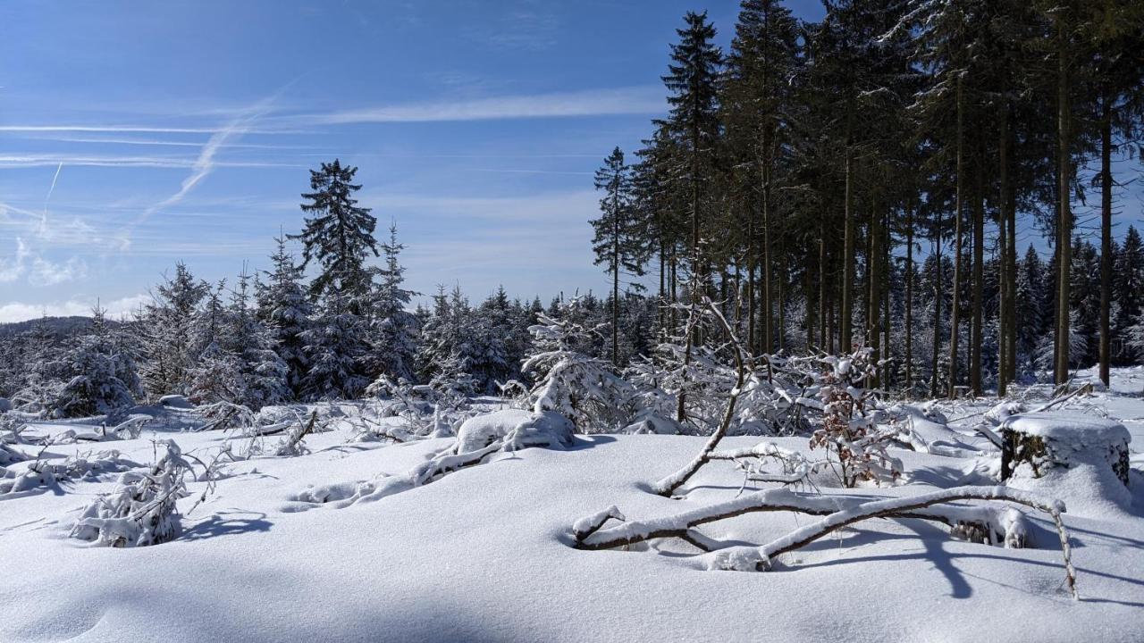 Gaestehaus Regina Ruhla Bagian luar foto