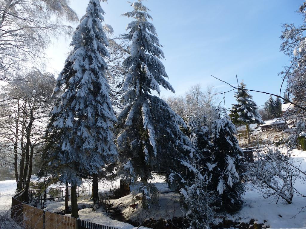 Gaestehaus Regina Ruhla Bagian luar foto